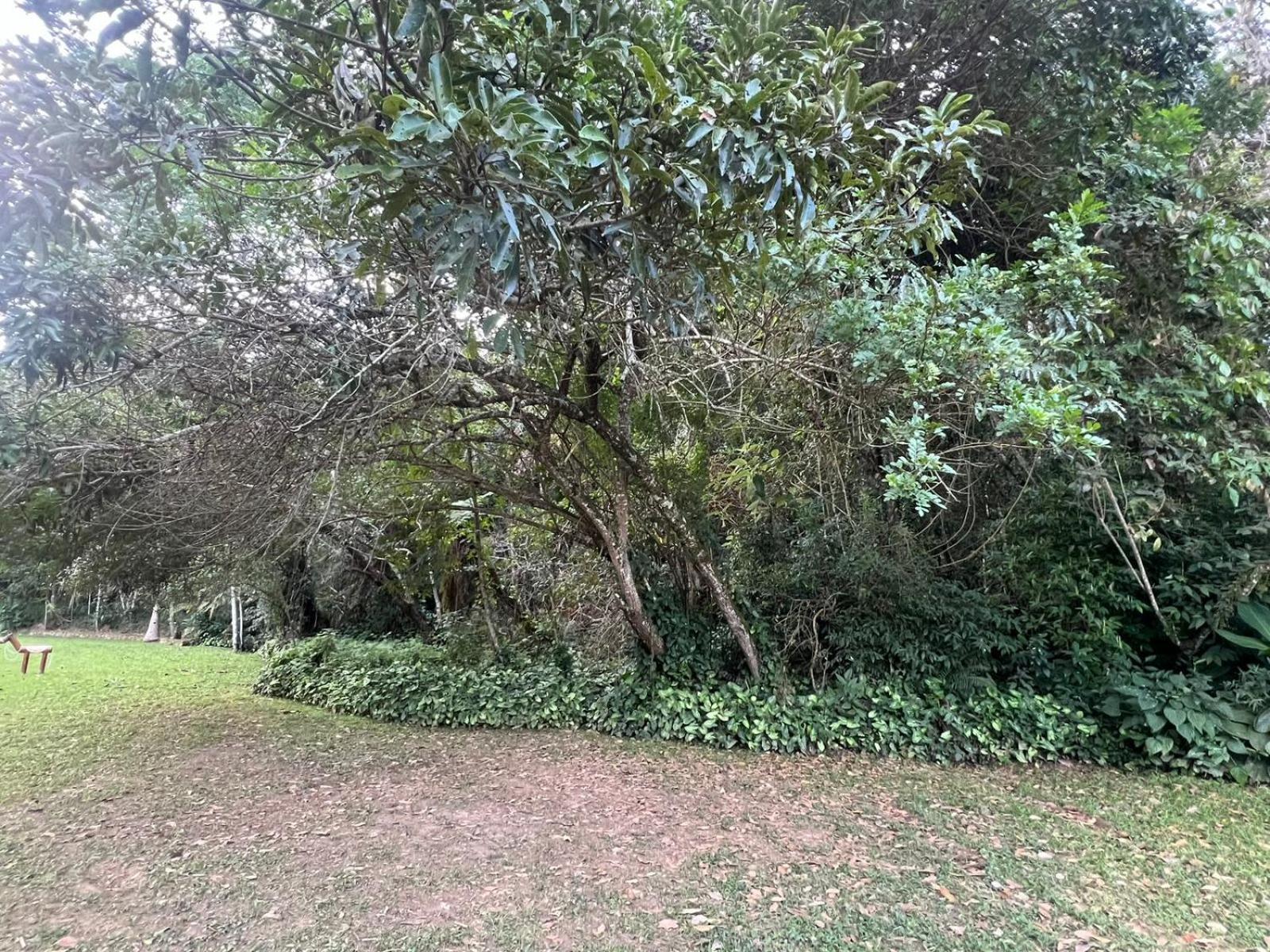 Pousada Candonga Da Serra Tiradentes Kültér fotó